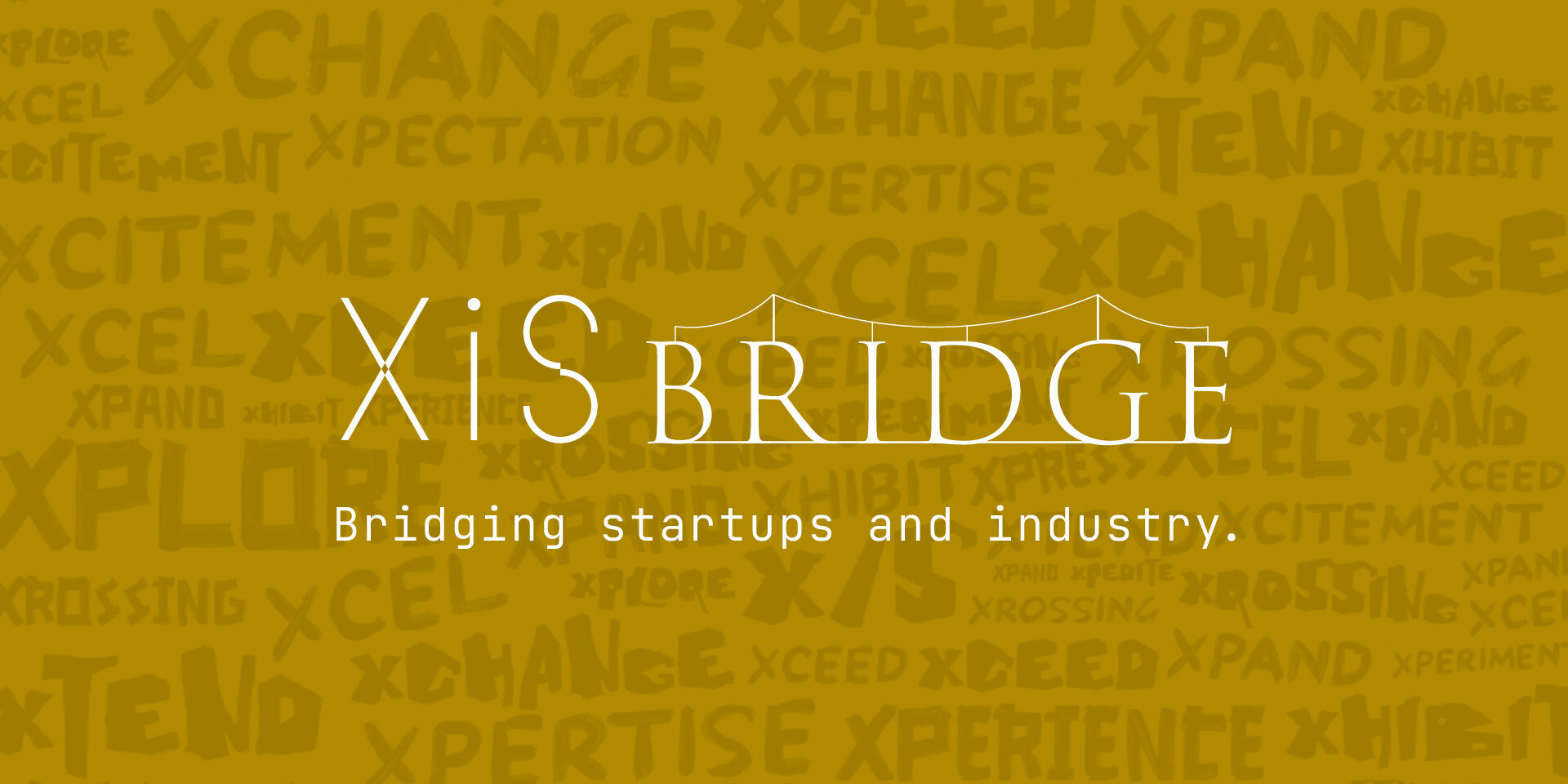 XiS BRIDGE_KV_16-8-100.jpg