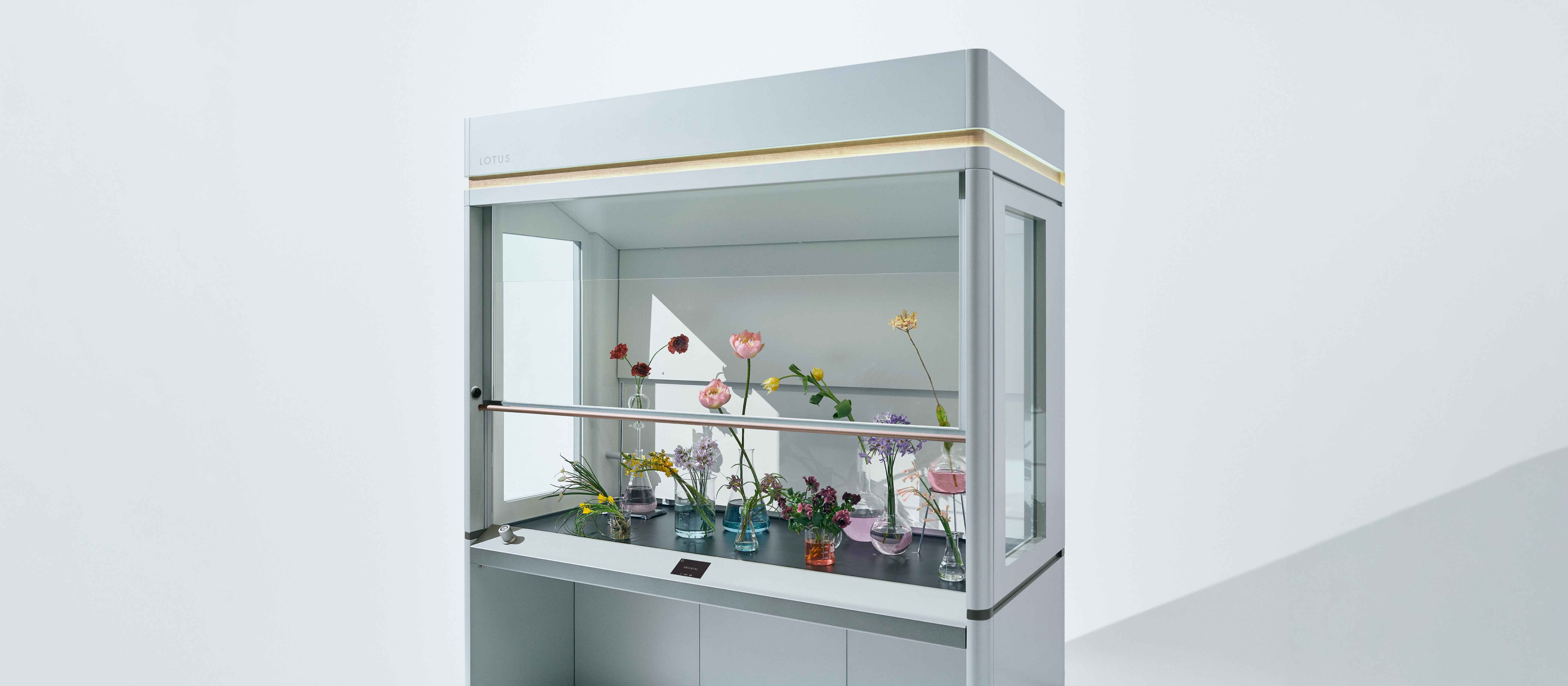 「ヒュームフード「LOTUS」」の画像