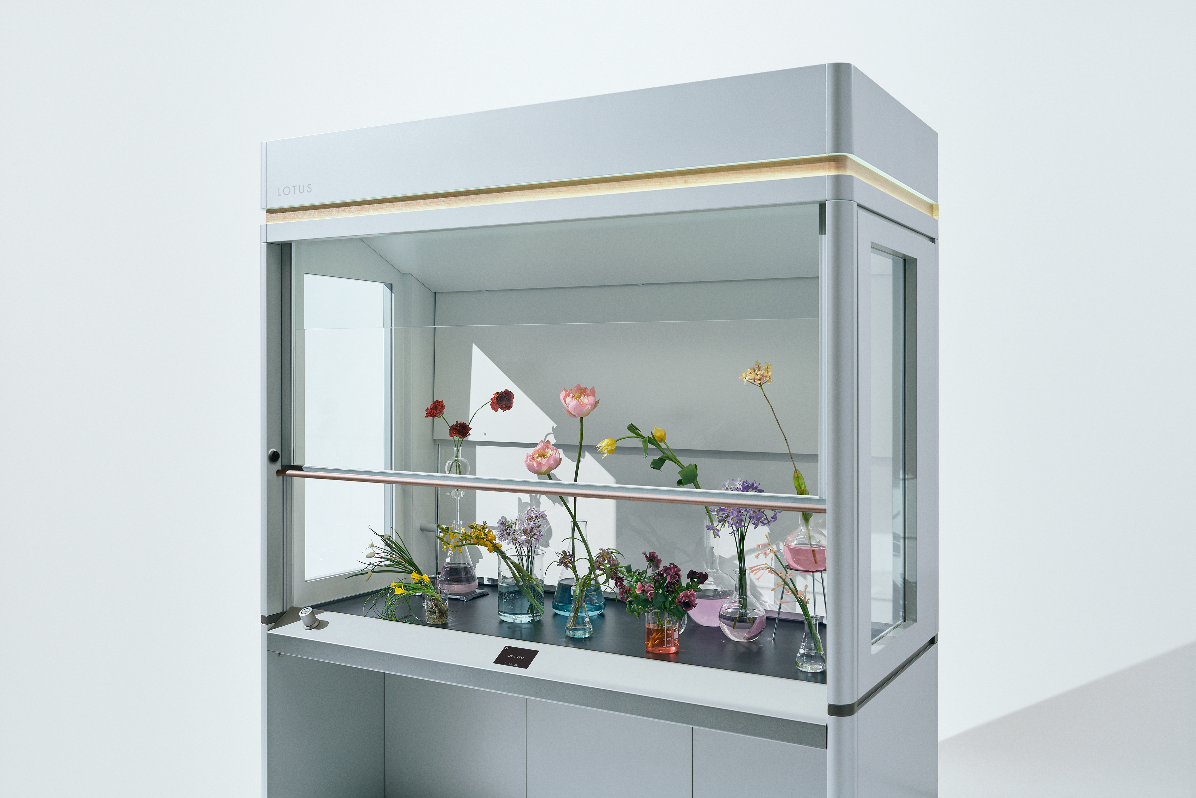 「ヒュームフード「LOTUS」」の画像